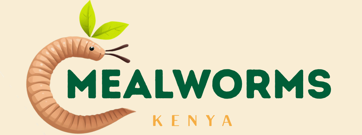 Mealworms Kenya